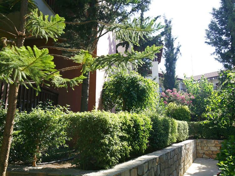 Aqua Sol Holiday Village