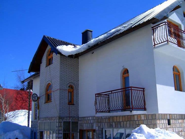 Javor