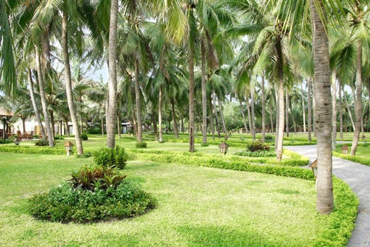 Dessole Beach Resort - Mui Ne