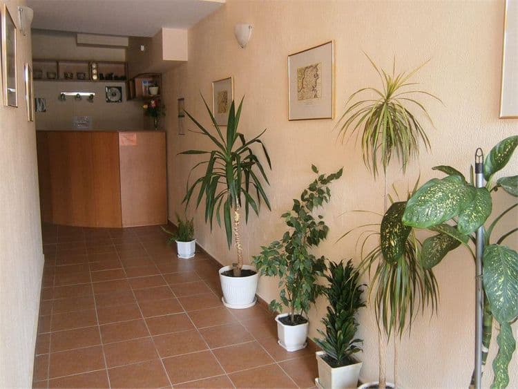 Central Family Hotel