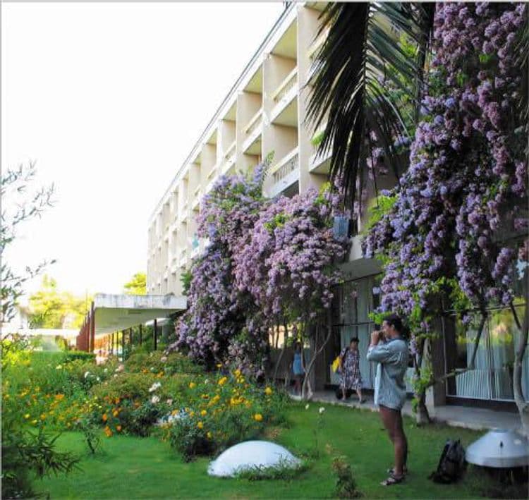 Alem Hotel
