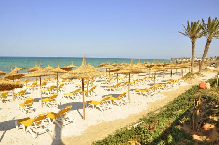 Vincci Safira Palms