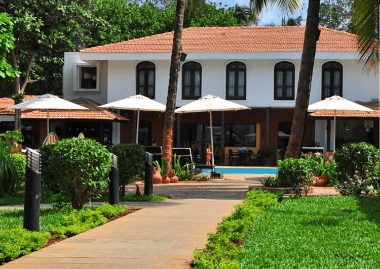Citrus Goa