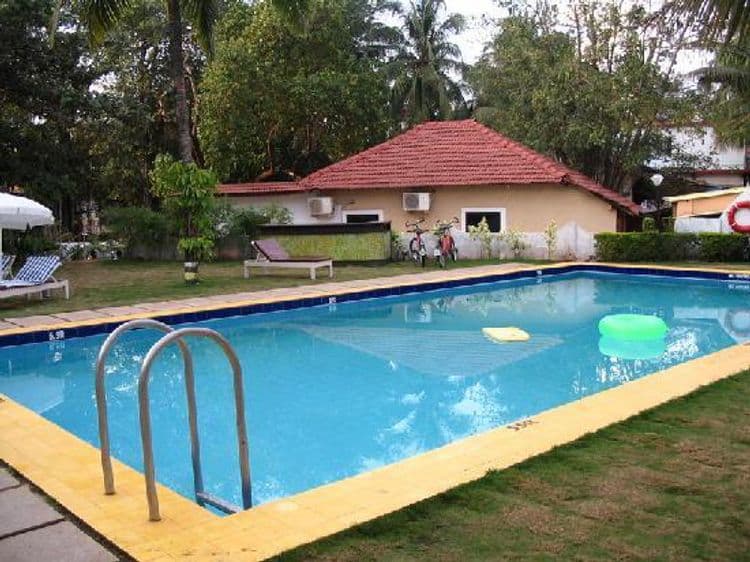 Citrus Goa