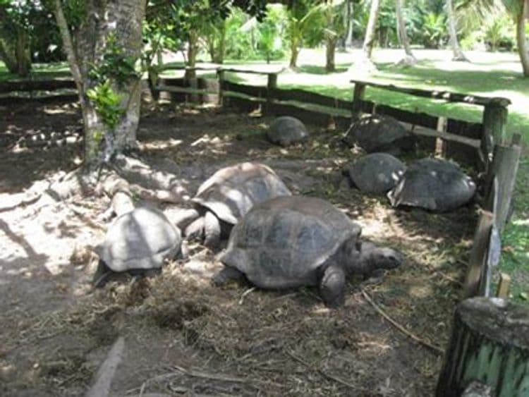 Iles des Palmes