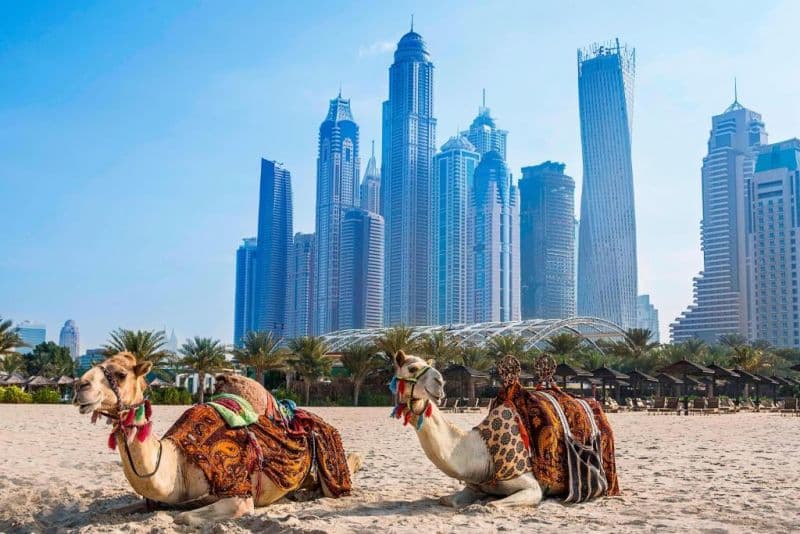Habtoor Grand Resort Autograph Collection