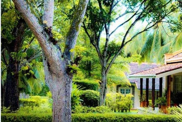 Tamarind Tree Hotel