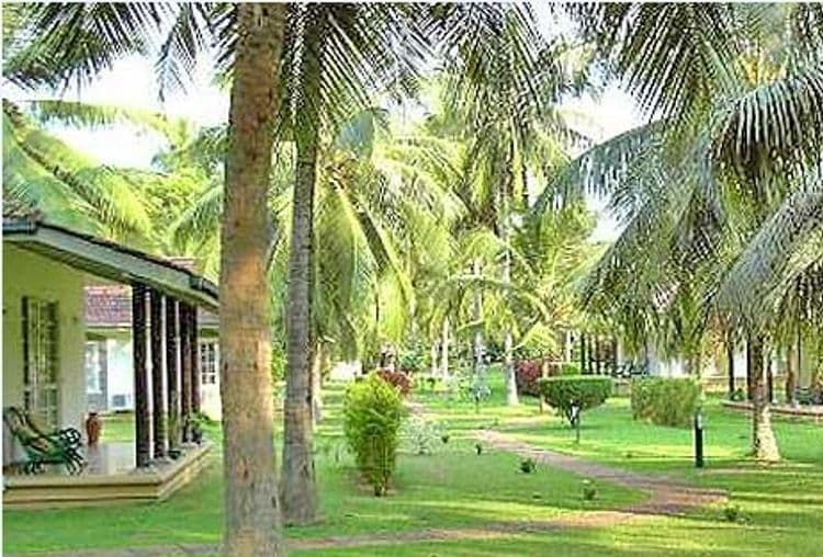 Tamarind Tree Hotel