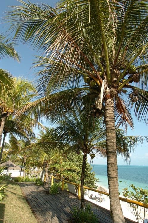 Maya Caribe Beach House Hotel