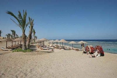Swiss Inn Plaza Resort Marsa Alam (Badawia Resort)