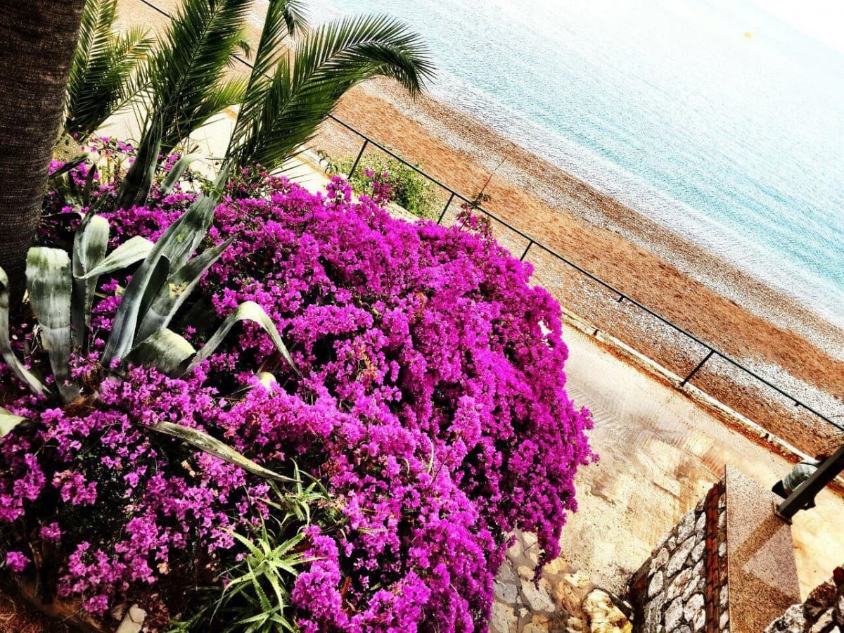 Pine Beach Boutique Hotel
