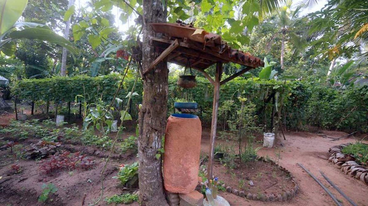 Lotus Villa