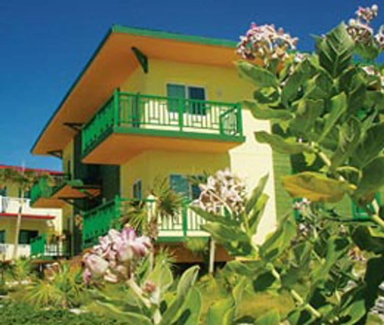 Ole Playa Blanca