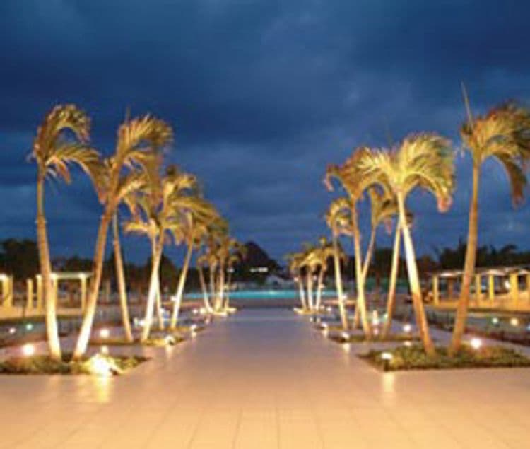 Ole Playa Blanca