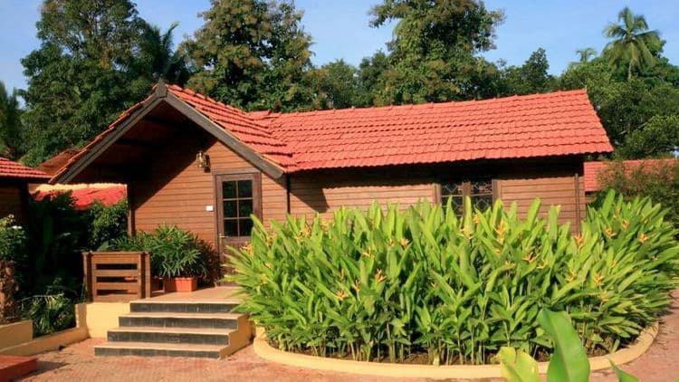 Stark The Gardenia Resort