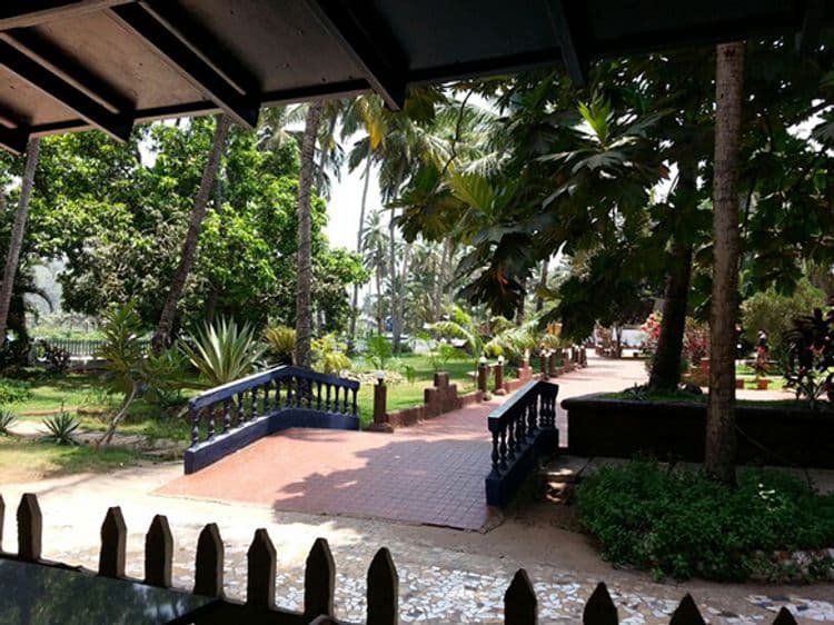 Palm Resort