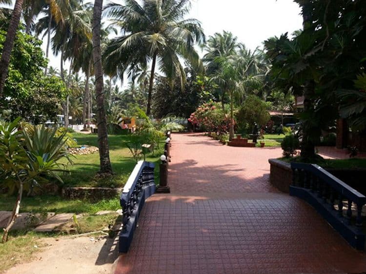 Palm Resort