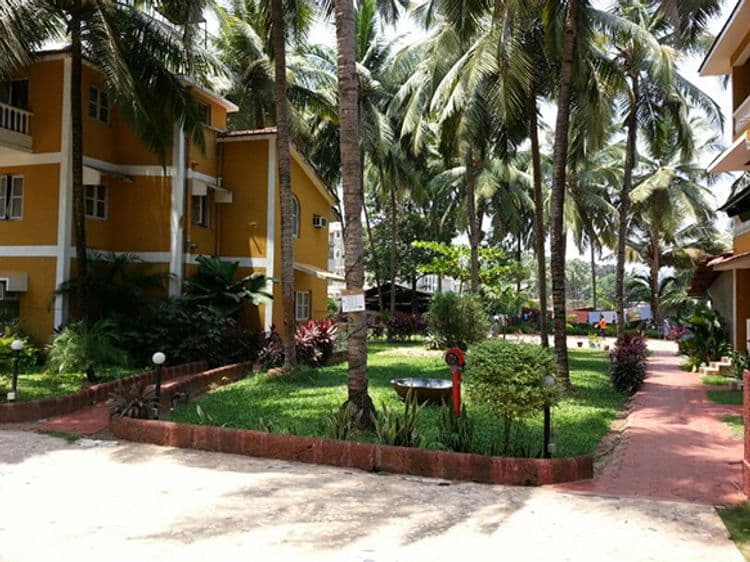 Palm Resort