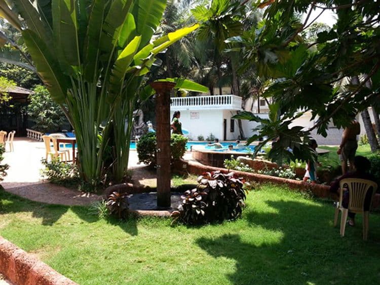 Palm Resort