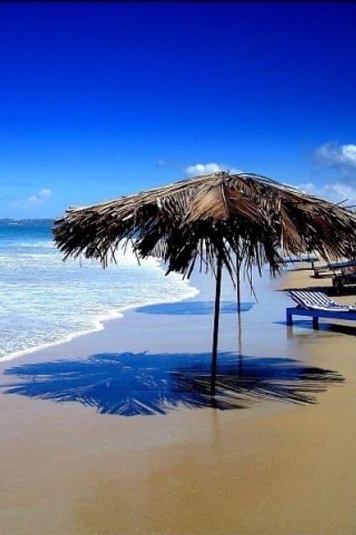 The Sun Park Resort