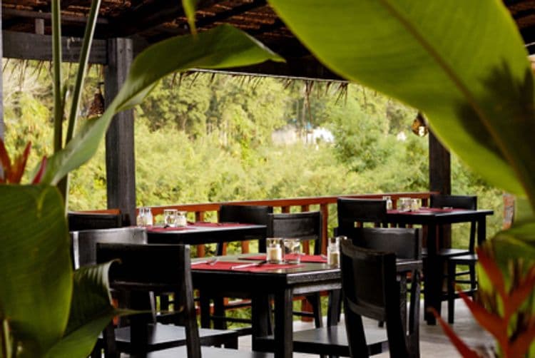 Motive Cottage Resort