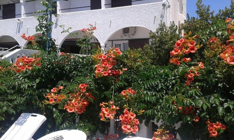 Gouvia Hotel