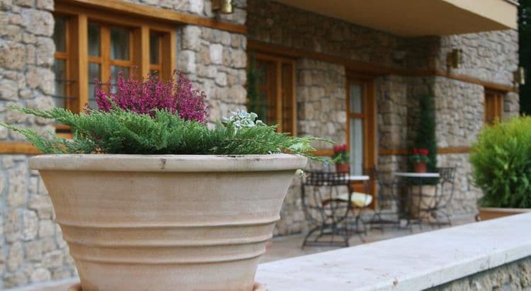 Roes Suites