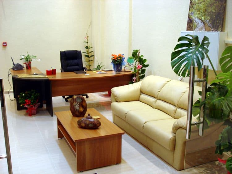 Loxandra Studios