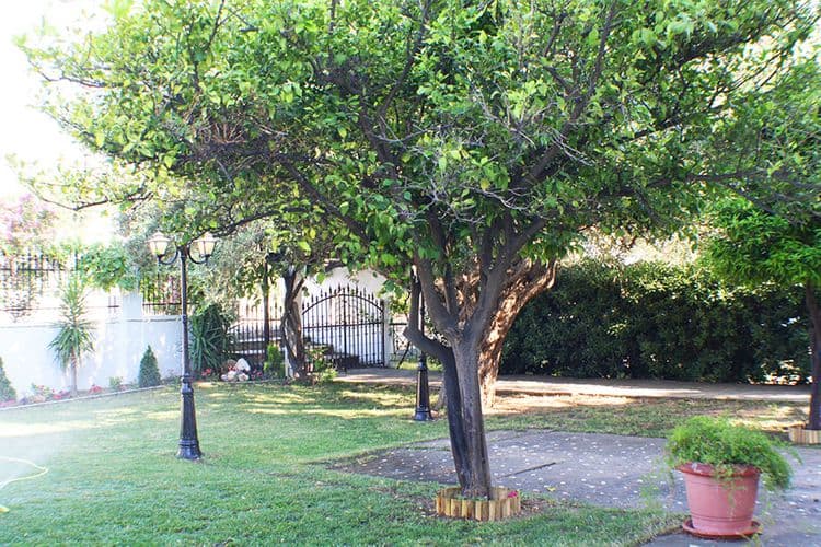 Salonikiou Beach Deluxe Apartments