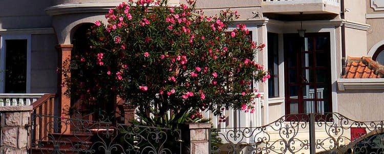 Villa Lux