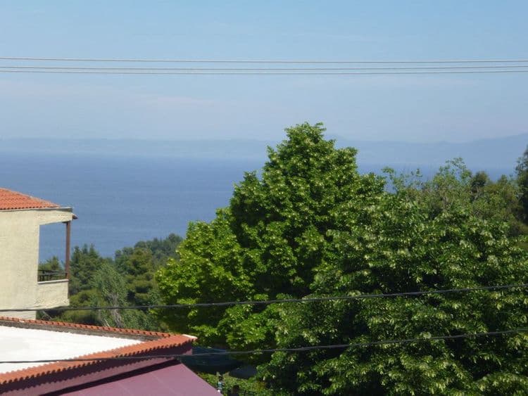Adonis Hotel Kriopigi