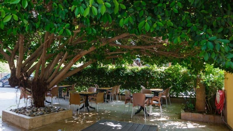 Kingas Hotel