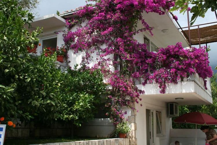 Irena Villa