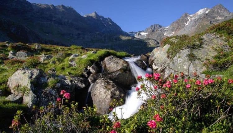 Reginas Alpenlodge