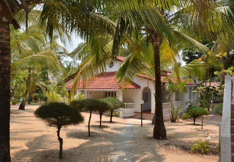 Mandrem Beach Resort