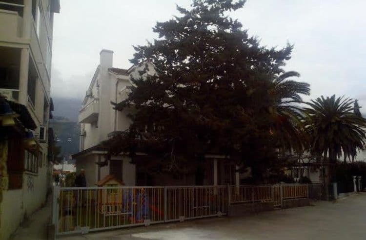 Villa Sofija Budva