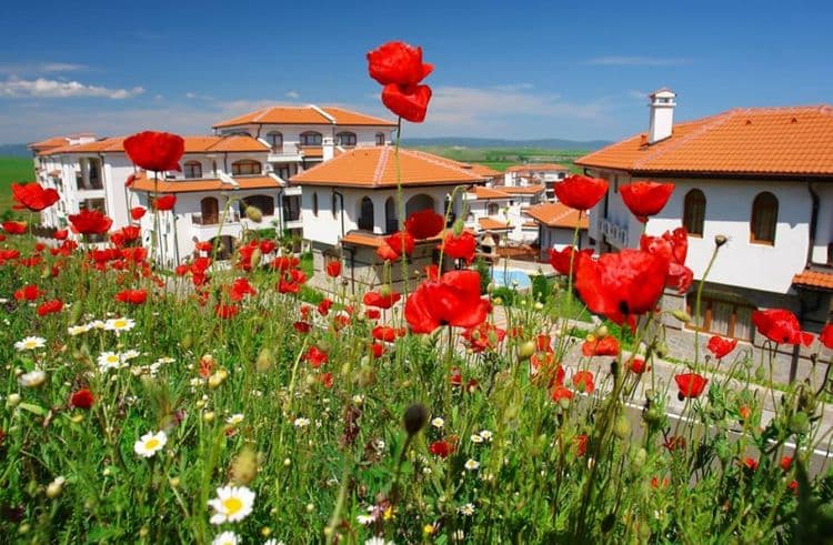 The Vineyards Resort