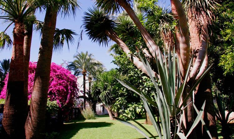 Bajondillo Apartamentos
