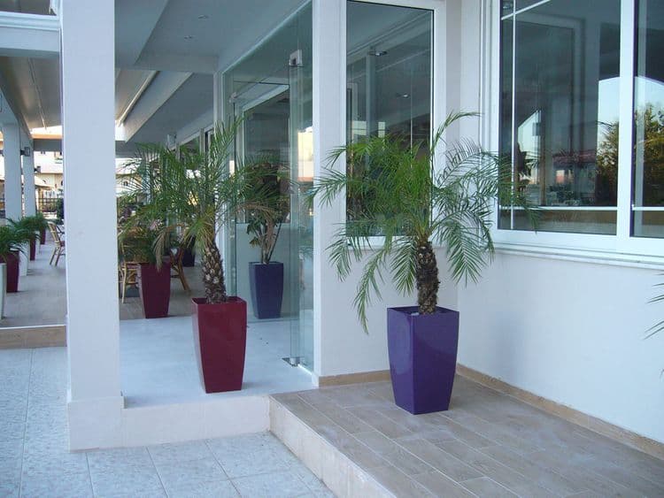 Rhodian Rose Hotel