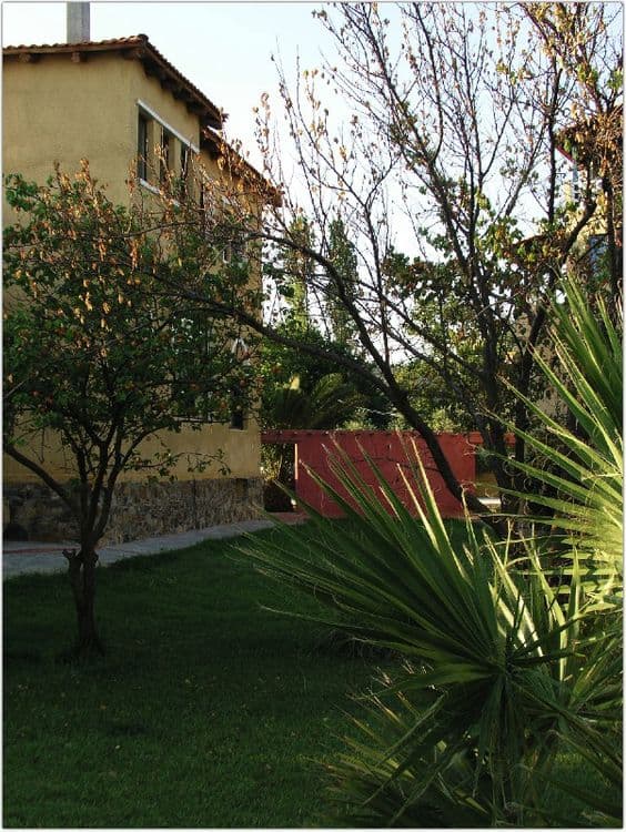 Despotiko Apartment Hotel & Suites