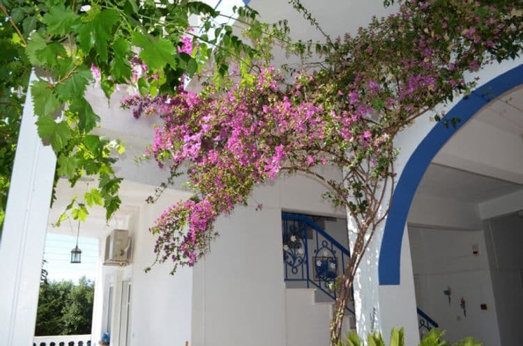 Villa Maria