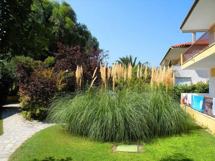 Ioli Apartments Fourka Beach