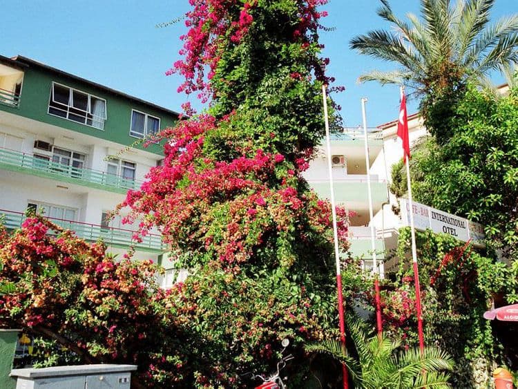 International Hotel