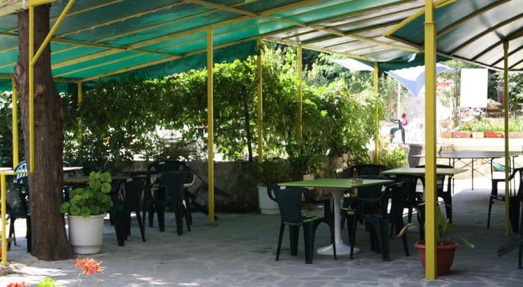 Sunny Warshawa