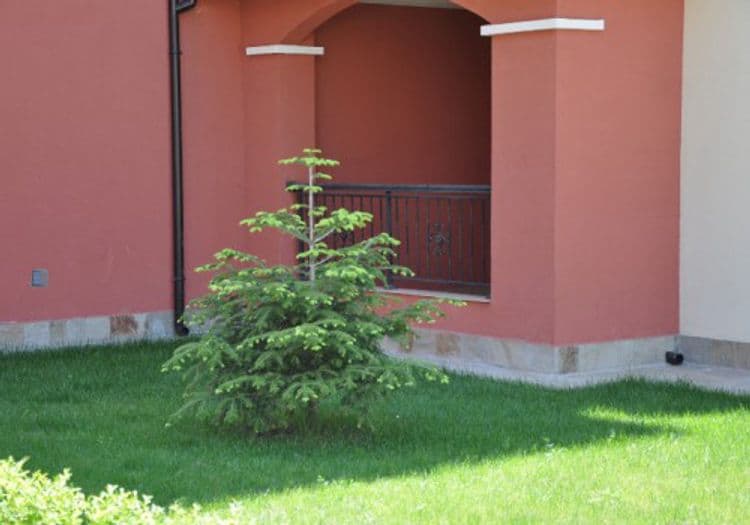Ravda Dom Apartments