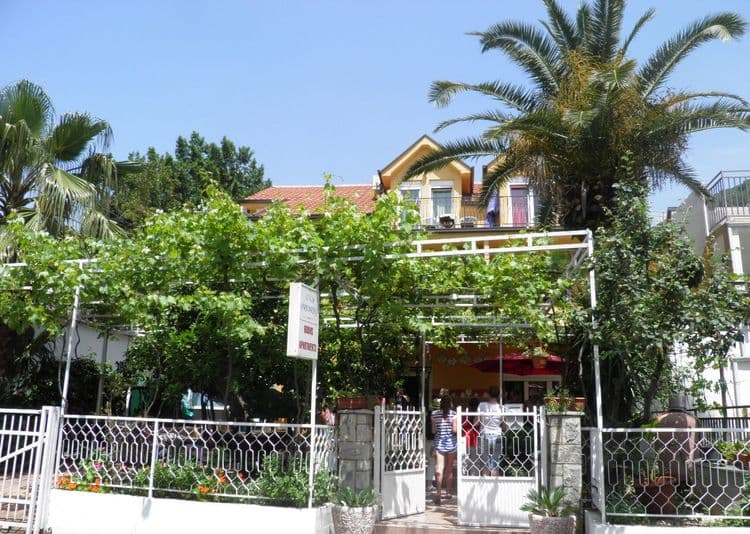 Predrag Villa