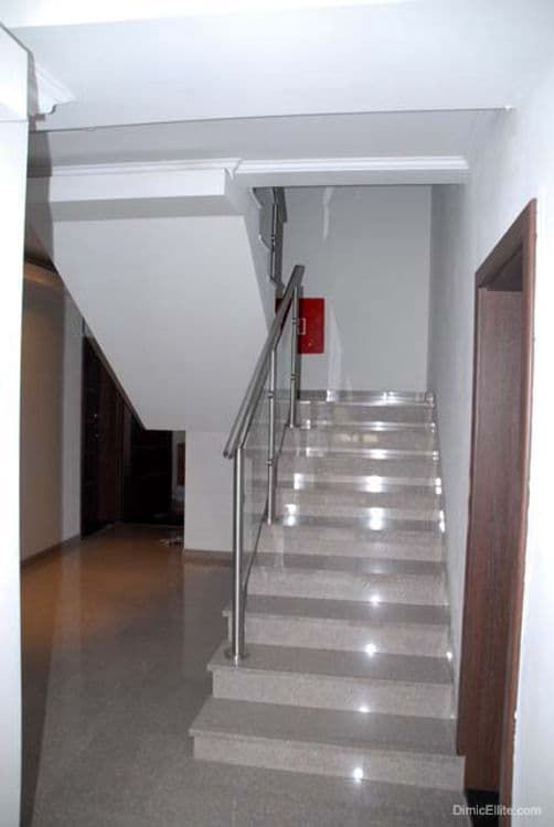 Dimic Ellite
