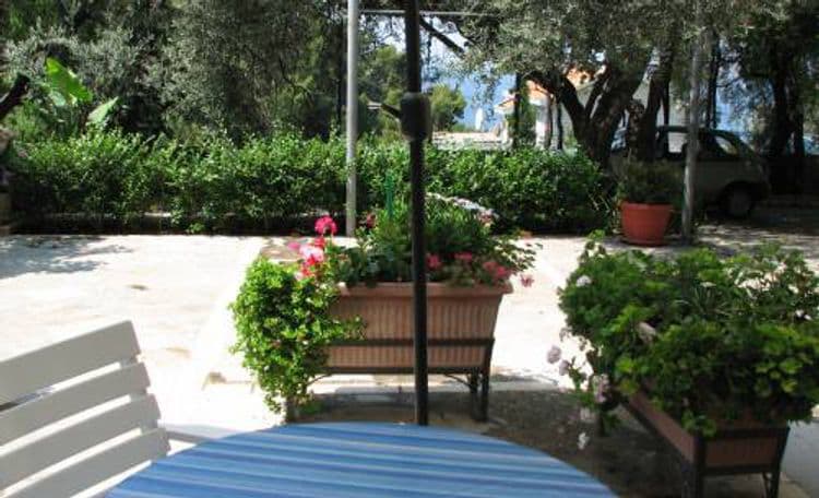 Sara Lux Apartments