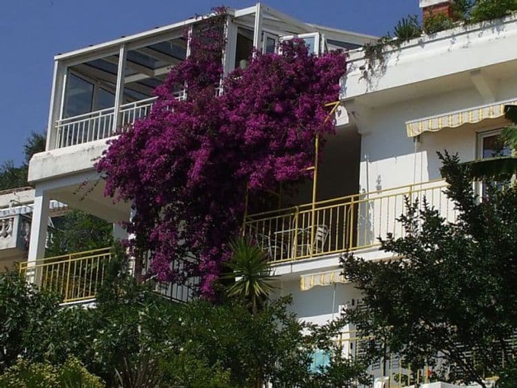 Sun Rose Apartments