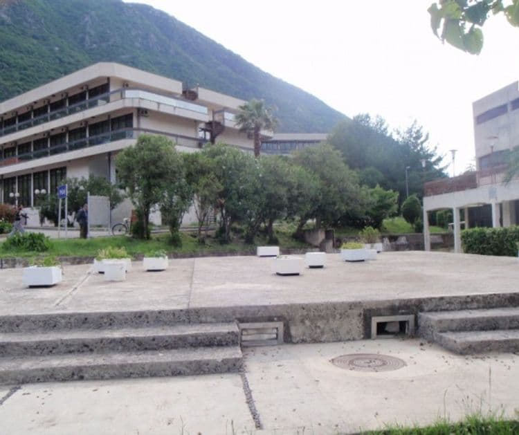 Vrmac Institut